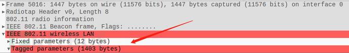 怎样浅析无线攻击与Fuzzing