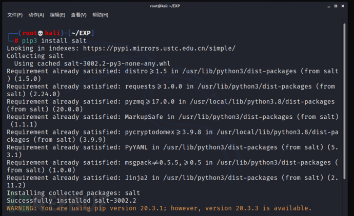 SaltStack认证绕过漏洞CVE-2020-11651复现的示例分析