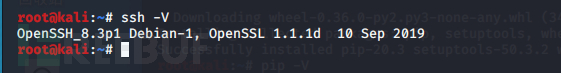 OpenSSH命令注入漏洞复现