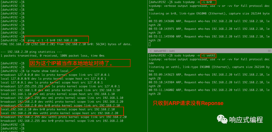 Linux网桥ping虚拟网卡不通的原因是什么