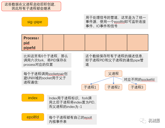 怎样使用进程池实现高并发服务器