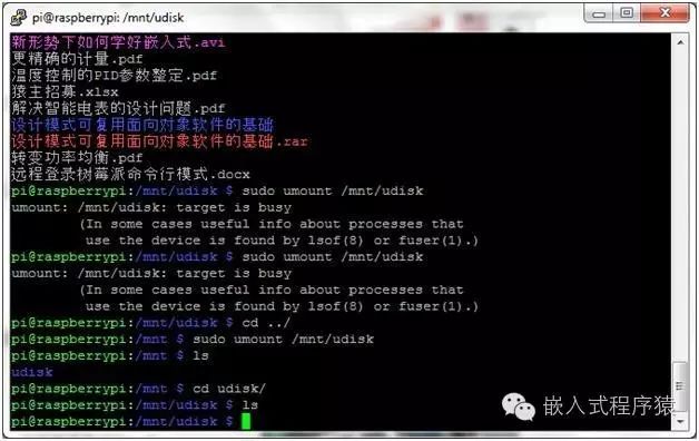 树莓派如何实现U盘挂载