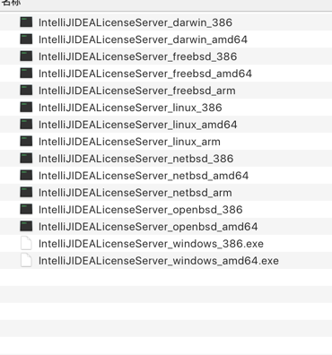 怎么搭建本地 IntelliJ IDEA License Server