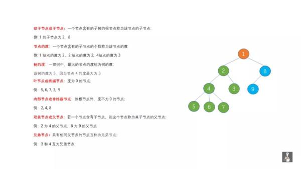 如何实现数据结构中的二叉树遍历算法