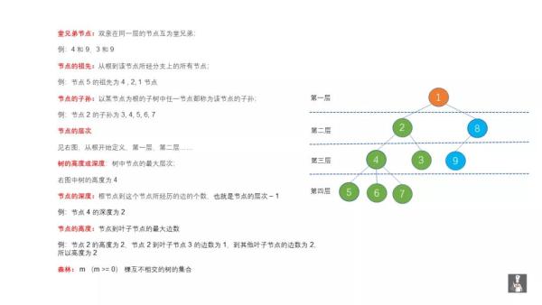 如何实现数据结构中的二叉树遍历算法