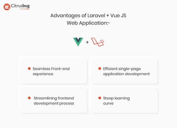 为什么要在下一个Web应用程序中考虑使用Laravel + Vue.js
