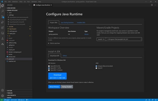 VS Code Java11有哪些新特性