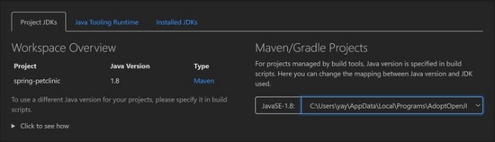 VS Code Java11有哪些新特性