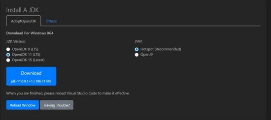 VS Code Java11有哪些新特性