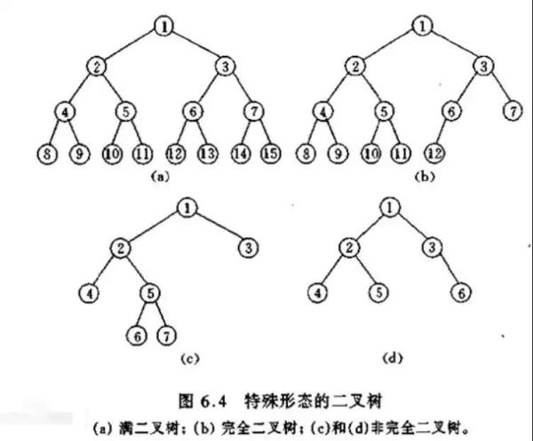 如何理解編程中的樹