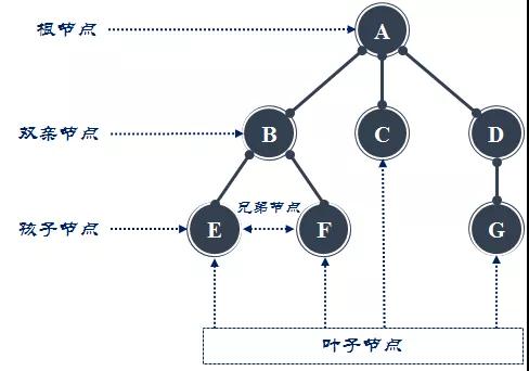 如何理解Java中的樹