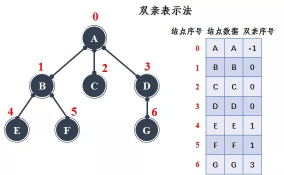 如何理解Java中的树