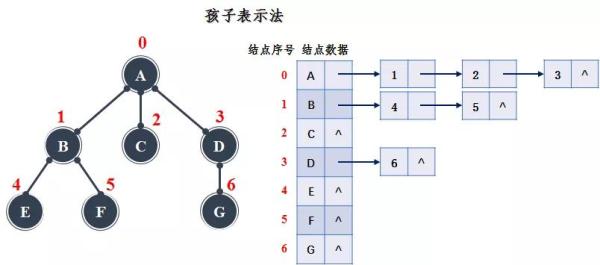 如何理解Java中的树