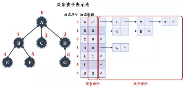 如何理解Java中的樹