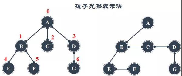 如何理解Java中的树