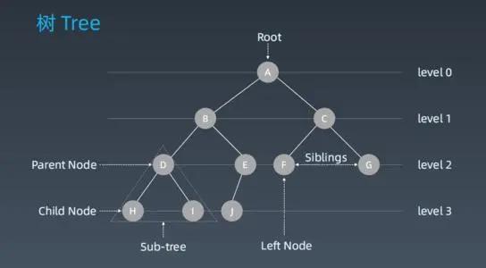 Javascript中有哪些常见的数据结构