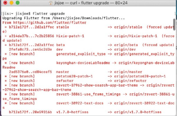 怎么使用Flutter开发简单的Web应用
