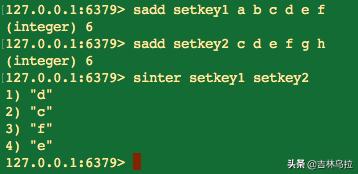 Redis集合类型如何使用