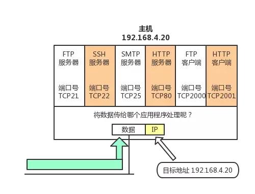 详解计算机网络TCP/IP协议