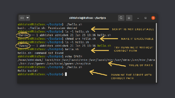 如何在 Linux 中运行一个 Shell 脚本