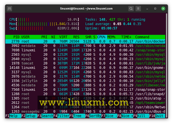 如何使用htop来监控Linux系统进程