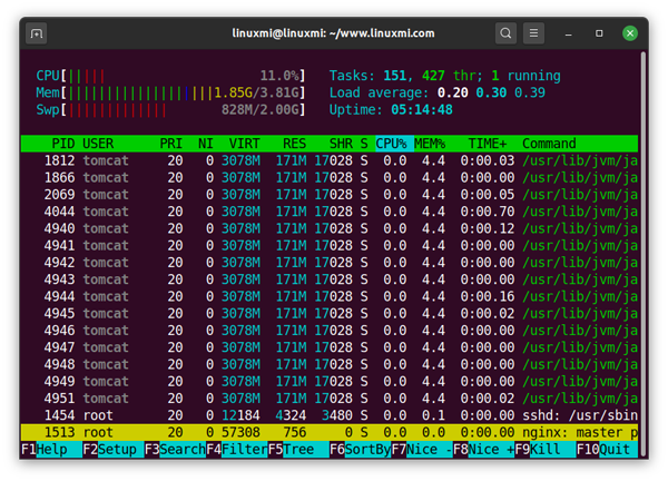 如何使用htop来监控Linux系统进程