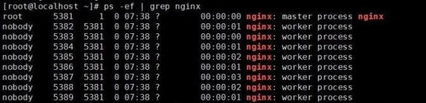 Linux有哪些好用的命令