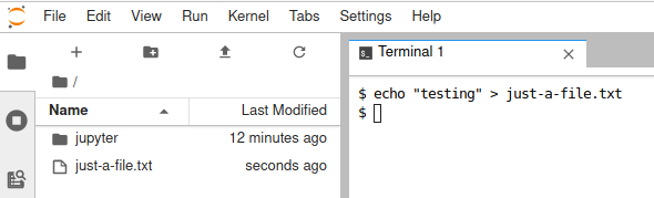 如何使用Jupyter Notebooks构建一个远程管理控制台