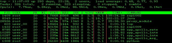 Linux系统内存知识点有哪些