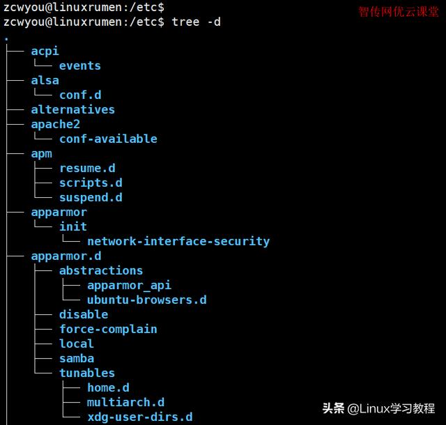 Linux tree命令详细用法