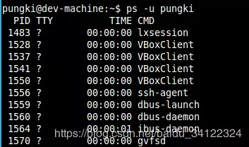 Linux怎么查看进程详情