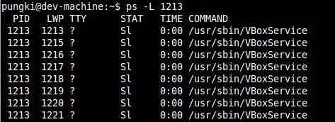 Linux怎么查看进程详情