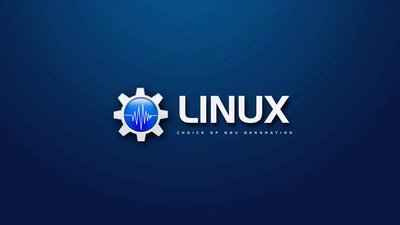 Linux系统使用dig或nslookup命令查看dns解析的方法是怎样的