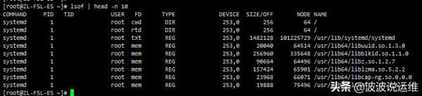 如何理解Linux系统中的lsmod、lsof、lspci、lsscsi命令及如何实践