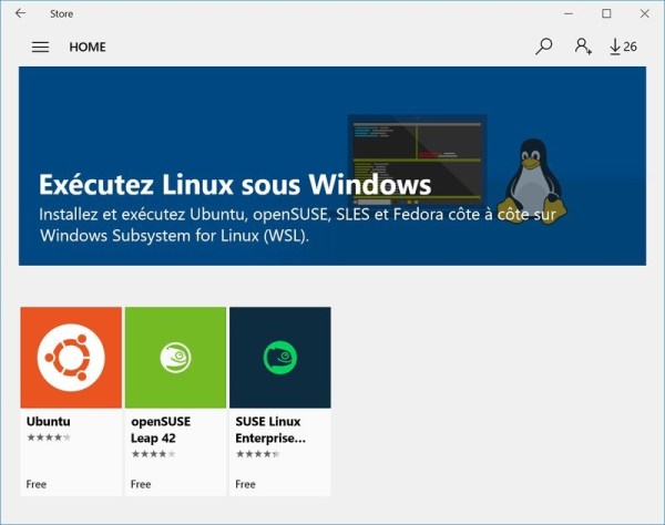 Windows中有哪些运行Linux命令的方法