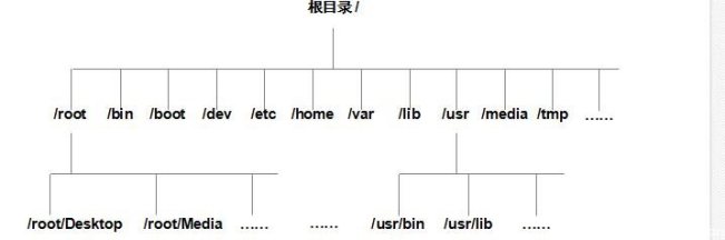 怎样理解Linux的存储结构