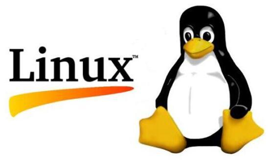 Linux下容易被忽视的命令有哪些