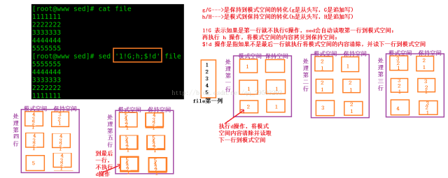 shell中sed怎么用