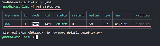 Ubuntu中怎么利用pm2和Nginx部署一个Node.js应用