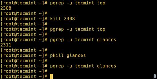 如何用特定命令管理 Linux进程