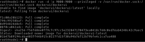 怎么在Linux上安装配置DockerUI