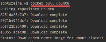 Docker在Ubuntu 15.04上的安装方法和基本用法