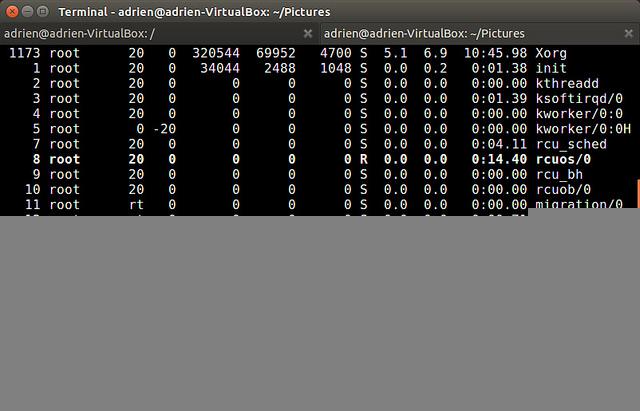 Linux上有哪些好用的終端模擬器