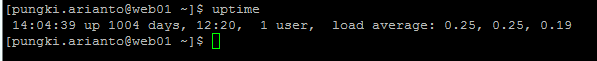 Linux Uptime命令的具体用法