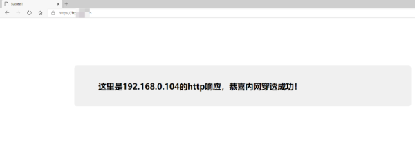 Frp做内网穿透访问家里的Web网站